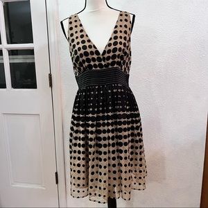 Back dot fit & flare dress